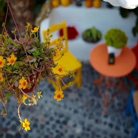 Διαμέρισμα Anna *